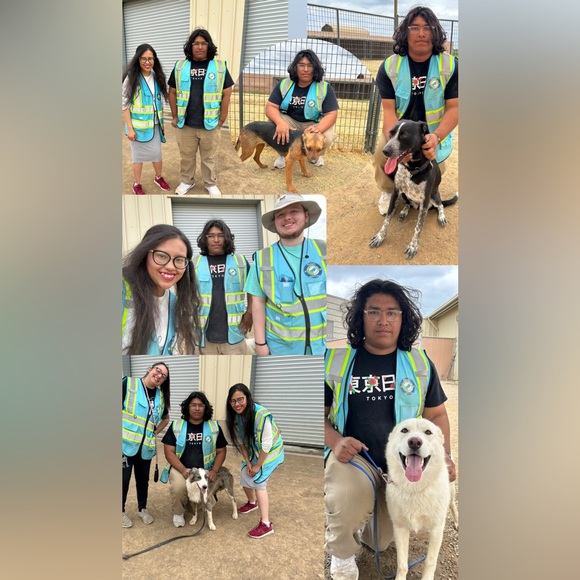 Shipping•Delays - Picture 11 of 16